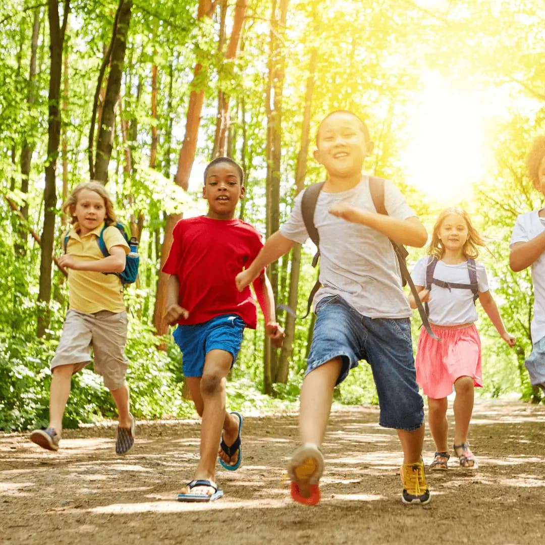 image Los campamentos en España: hacia un modelo de educación integral y sostenible